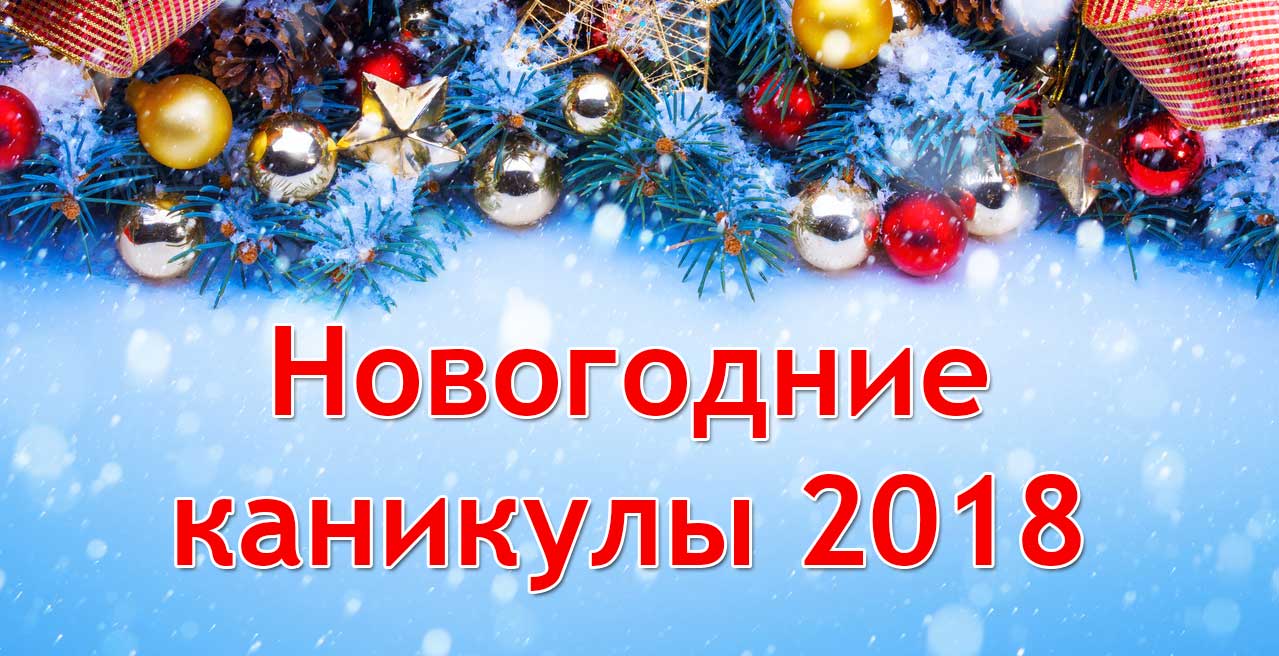 Новогодние каникулы Новогодние каникулы
